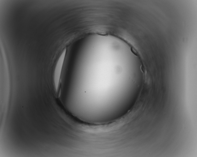 X0000089880013200707121821