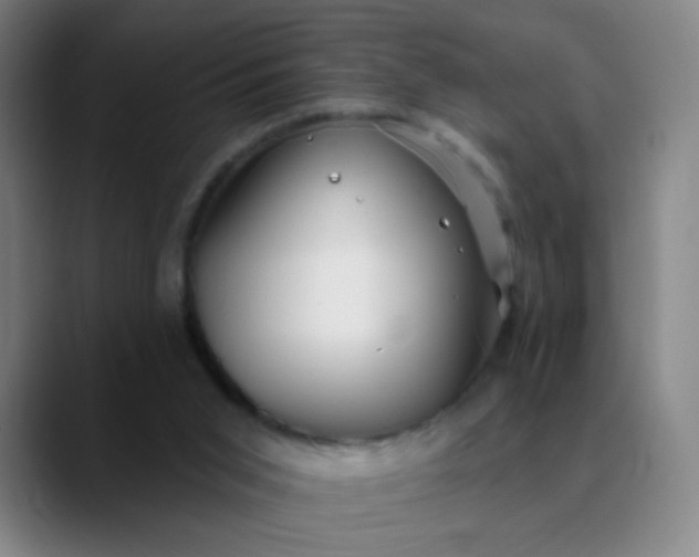 X0000089880015200707121821