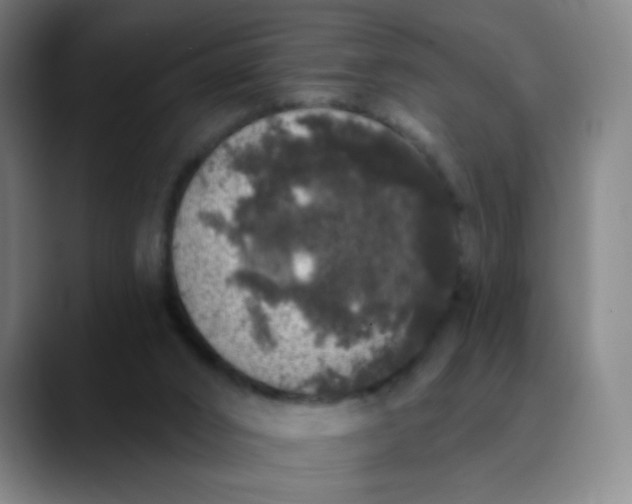 X0000089880016200707121821