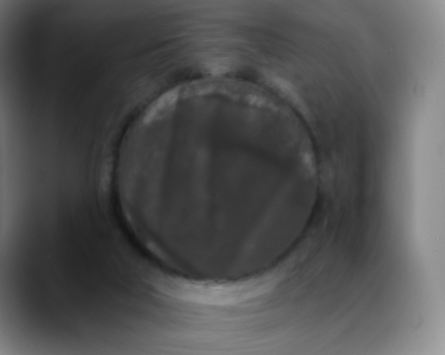 X0000089880018200707121821