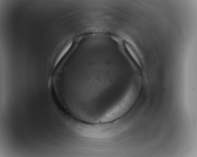 X0000089880019200707121821