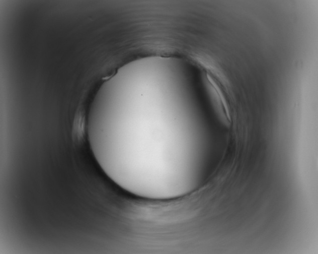 X0000089880021200707121821