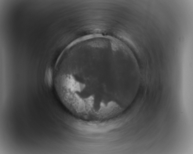 X0000089880022200707121821