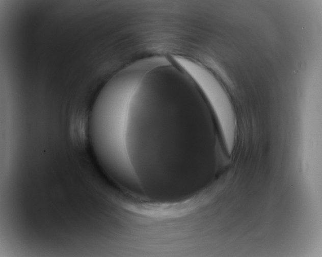 X0000089880023200707121821