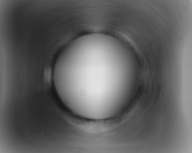 X0000089880024200707121820