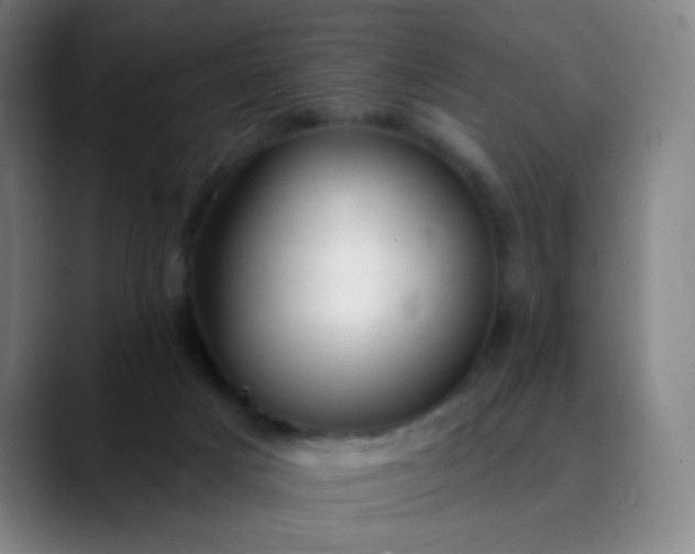 X0000089880025200707121820