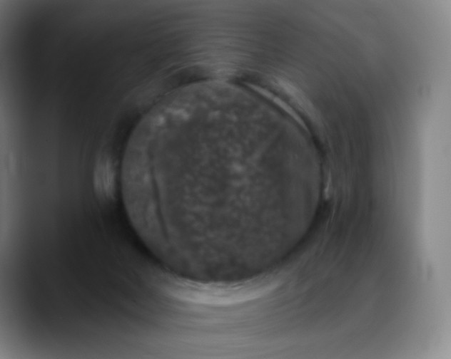 X0000089880026200707121820