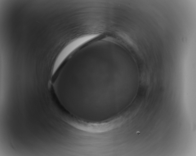 X0000089880027200707121820