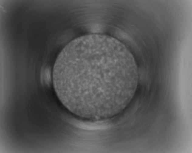 X0000089880028200707121820