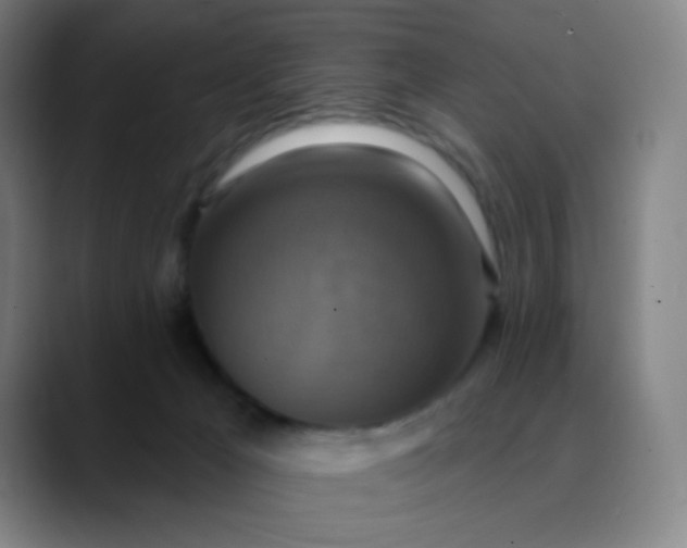 X0000089880029200707121820