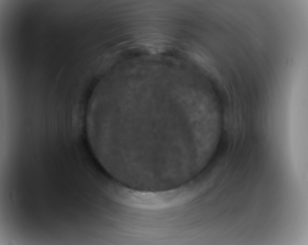 X0000089880030200707121820