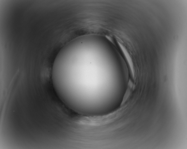 X0000089880033200707121820