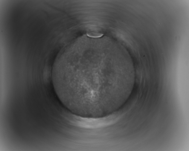 X0000089880034200707121820