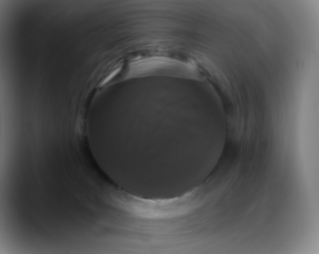 X0000089880035200707121820