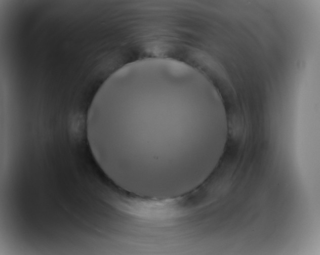 X0000089880036200707121820