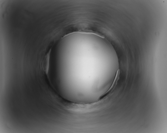 X0000089880037200707121820