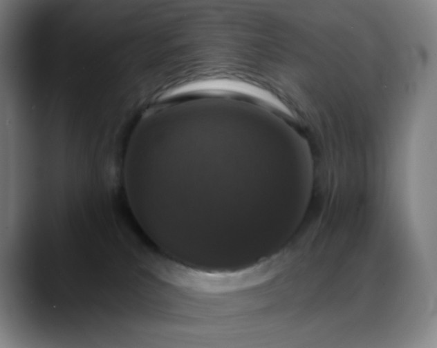 X0000089880039200707121820