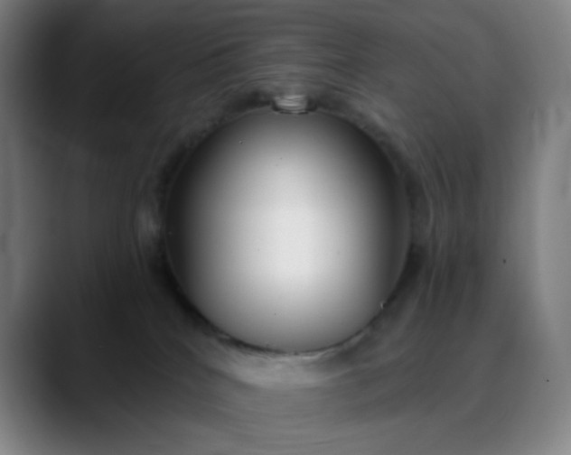 X0000089880040200707121820