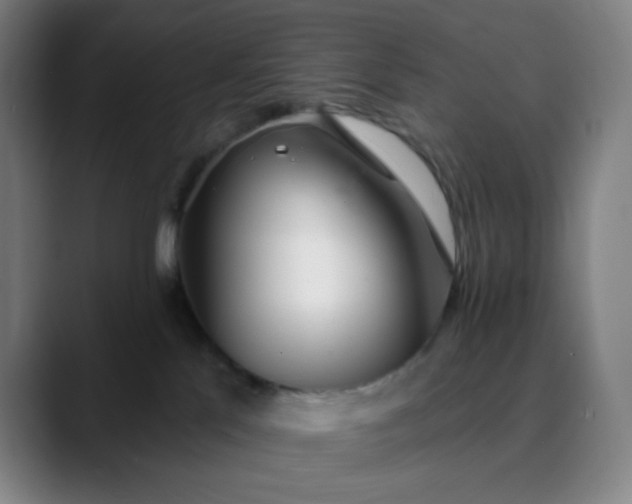 X0000089880041200707121820