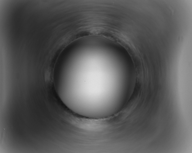 X0000089880044200707121820