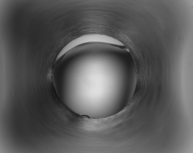 X0000089880045200707121820