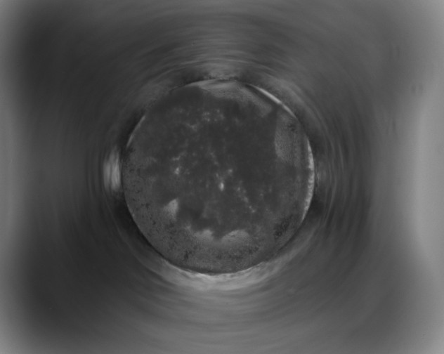 X0000089880046200707121820