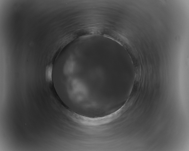 X0000089880047200707121820