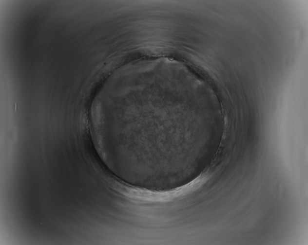 X0000089880048200707121820