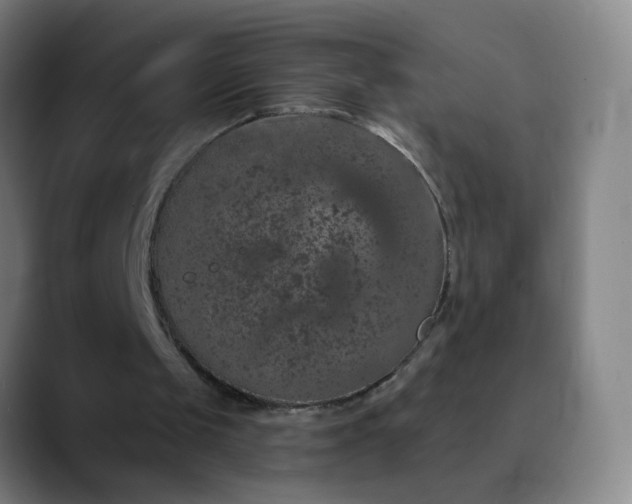 X0000089880049200707121820