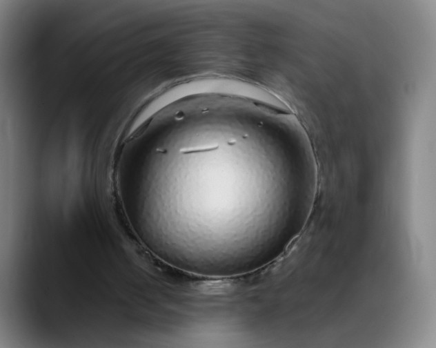 X0000089880050200707121820