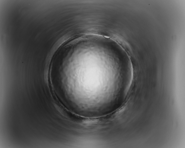 X0000089880051200707121820