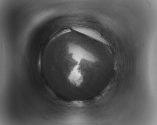 X0000089880052200707121820