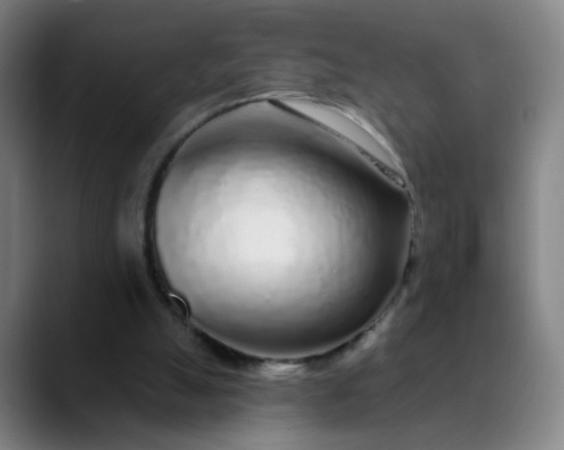 X0000089880055200707121820