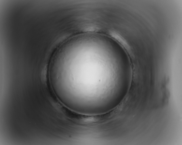 X0000089880058200707121820