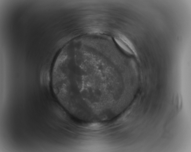 X0000089880059200707121820