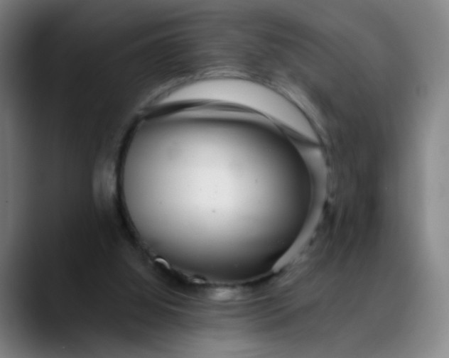 X0000089880060200707121820