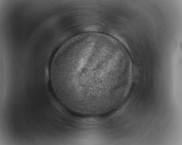 X0000089880061200707121820