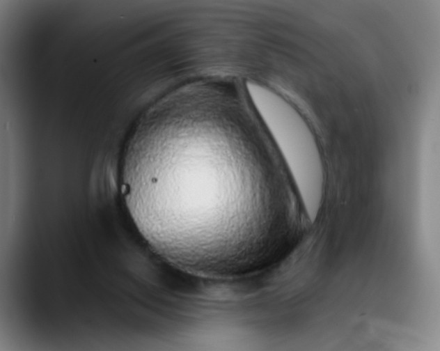 X0000089880062200707121820