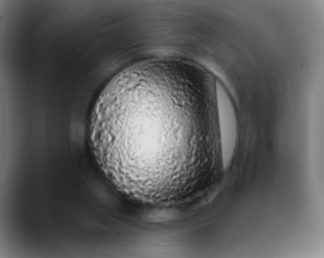 X0000089880063200707121820