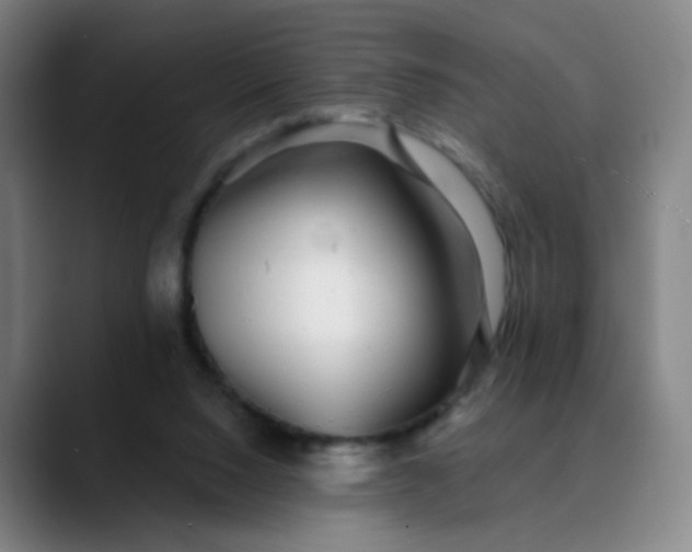 X0000089880064200707121820