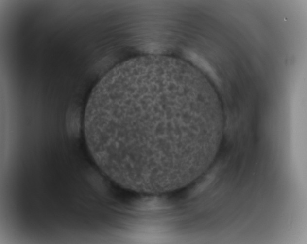 X0000089880065200707121820