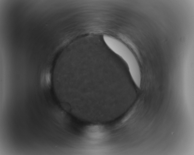 X0000089880067200707121820