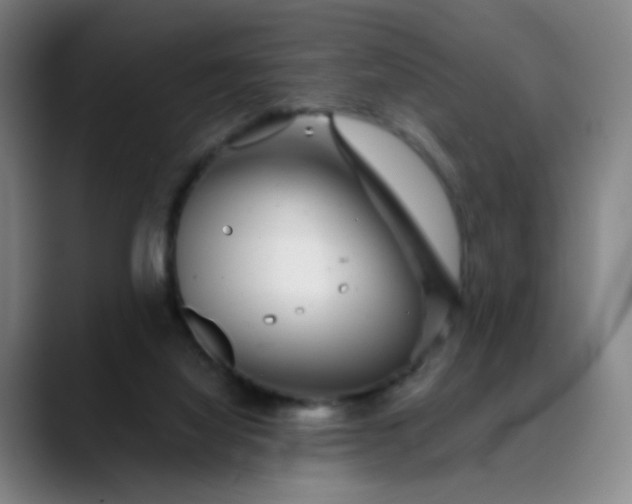 X0000089880068200707121820