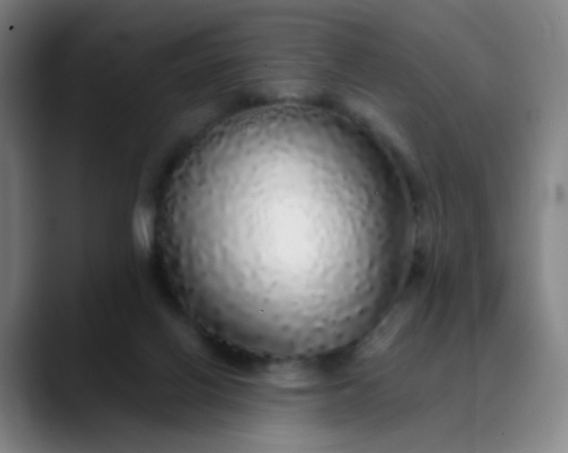 X0000089880070200707121820