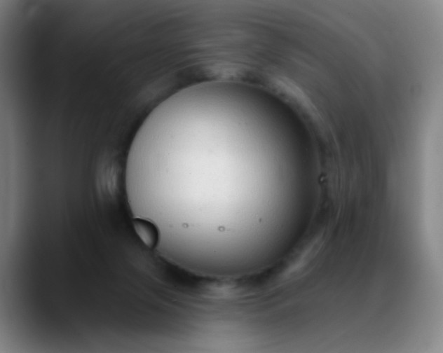 X0000089880071200707121820