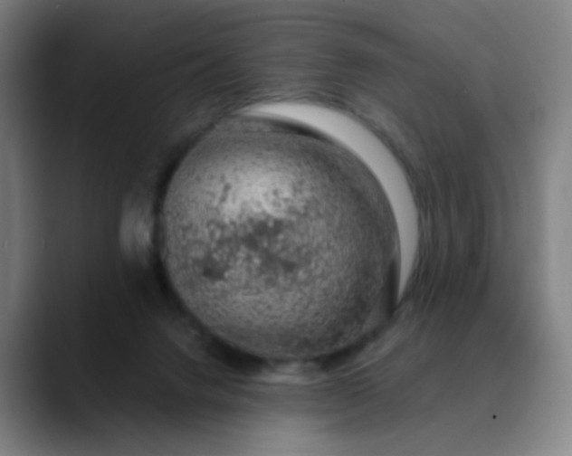 X0000089880072200707121820