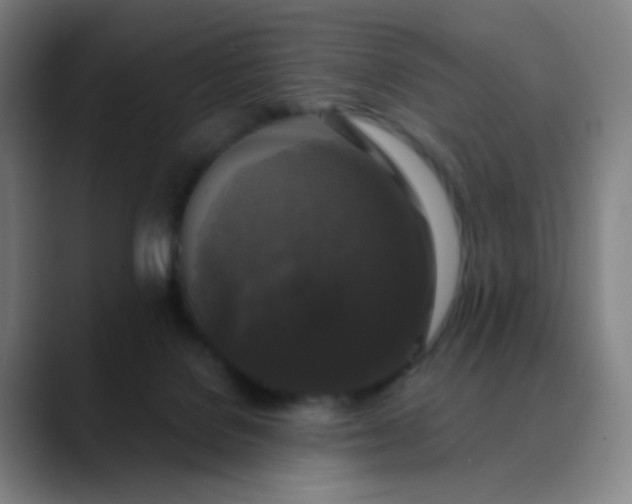 X0000089880076200707121820