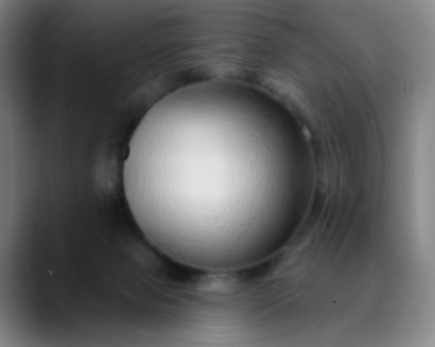 X0000089880077200707121820