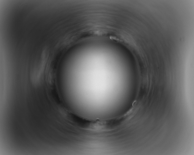 X0000089880078200707121820