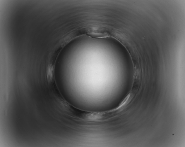 X0000089880094200707121820